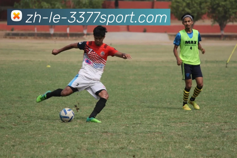 3377体育官网发展历程